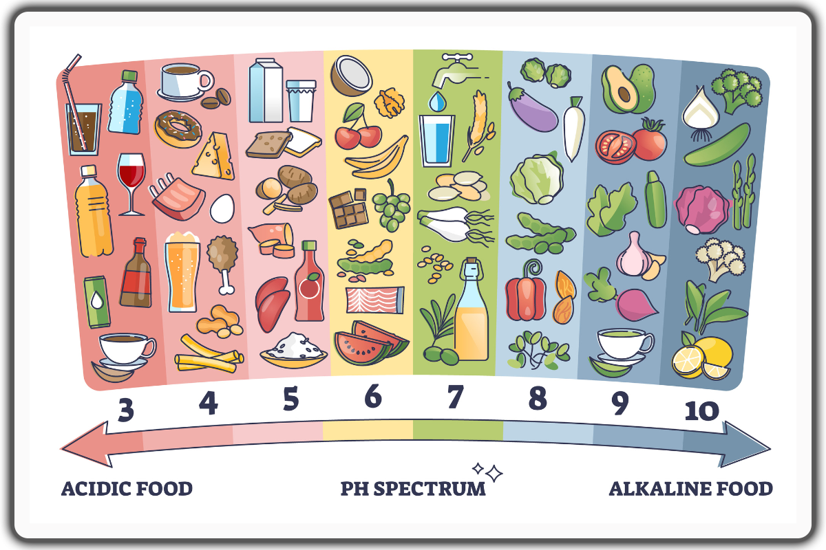 Acidic Foods to Avoid for Optimal Health and Wellness - acidic foods to avoid