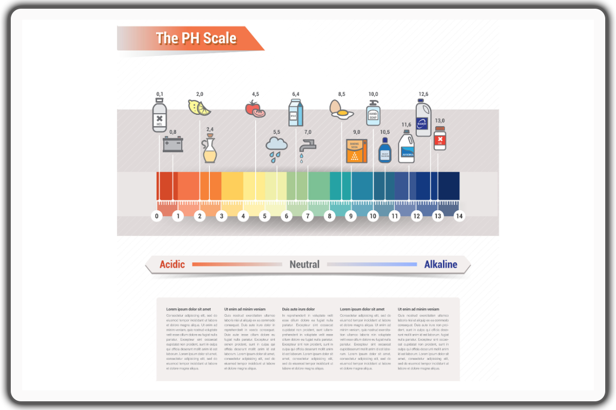 The Impact of Acidic Foods on Your Body's pH Balance - acidic foods to avoid